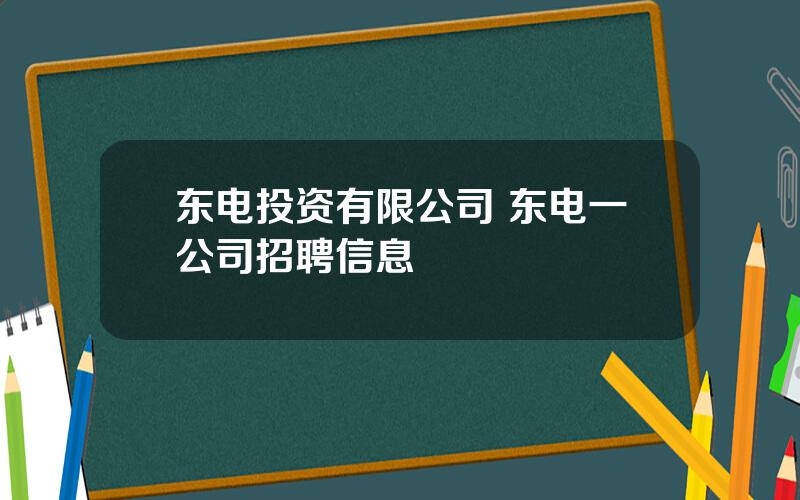 东电投资有限公司 东电一公司招聘信息